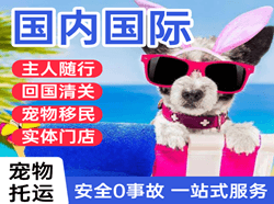 嘉峪关酒泉国际宠物托运 【国